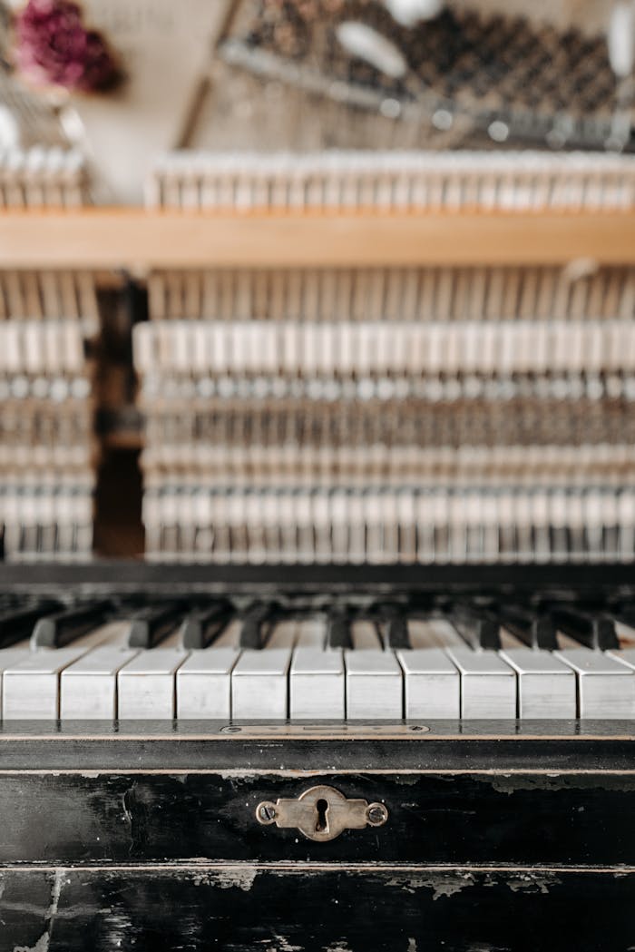 services-05 A detailed view of vintage piano keys with exposed hammers in the background.